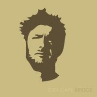 joey_cape-bridge